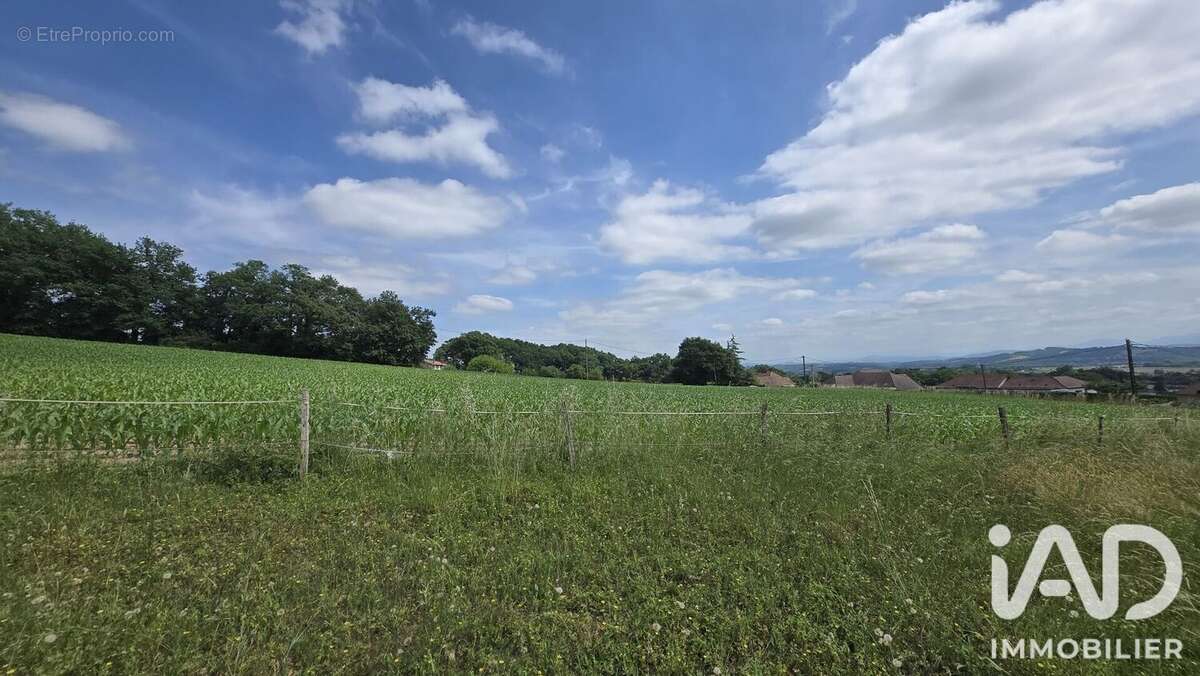 Photo 6 - Terrain à SAUVETERRE-DE-BEARN