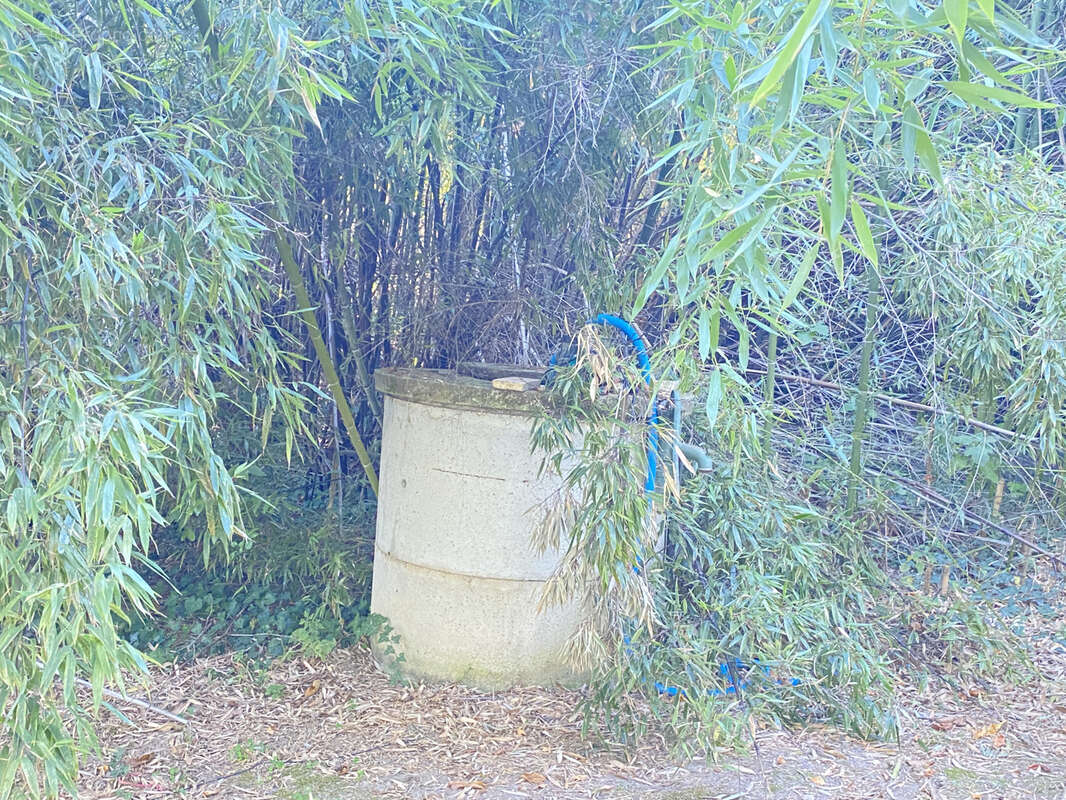 Proche limoux- maison de caractere avec piscine sur terrain arbore de plus de 6000 m2 - photo 25