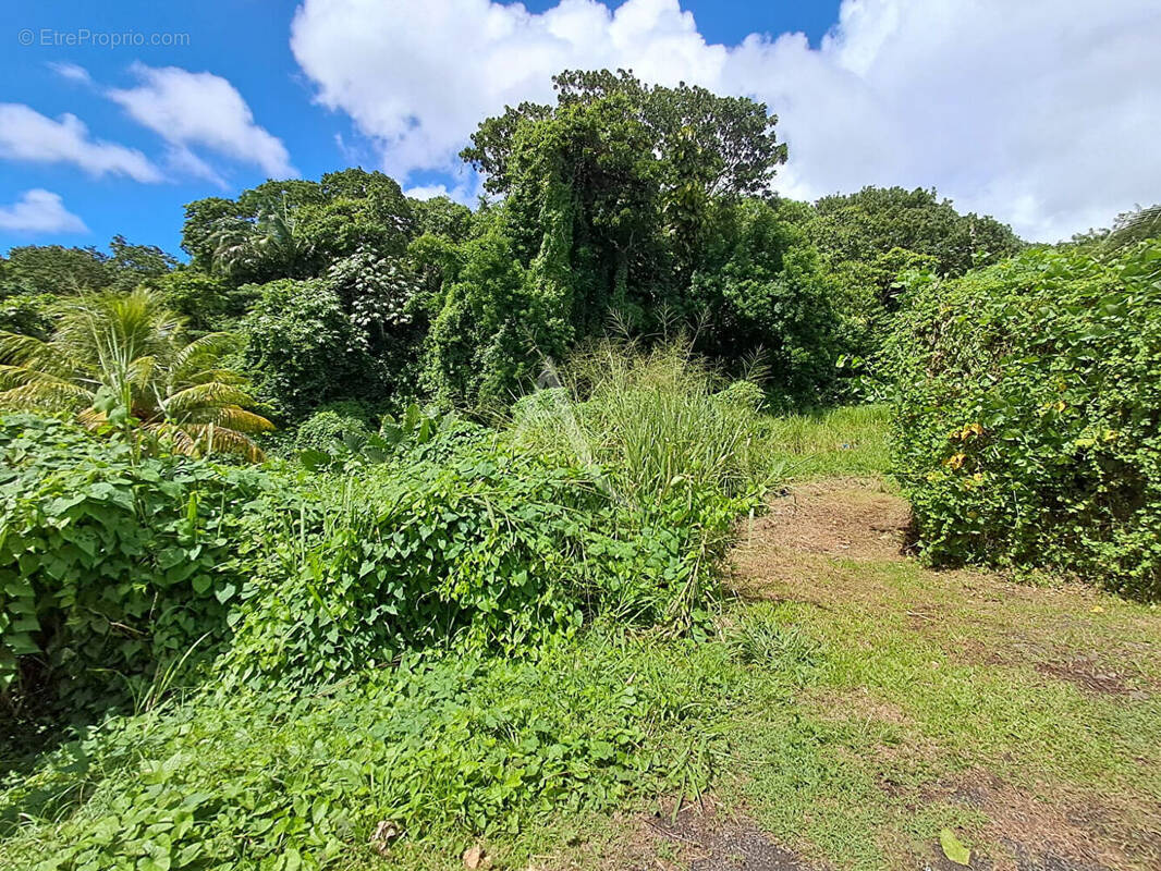 Terrain à FORT-DE-FRANCE