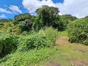 Terrain à FORT-DE-FRANCE