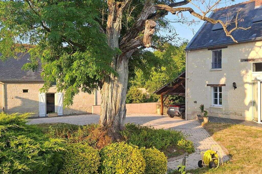 Indre et loire - chinon / thizay 37500 - maison 234 m² - 5 ch - deux gites - piscine - parc 8 000 m² - photo 3