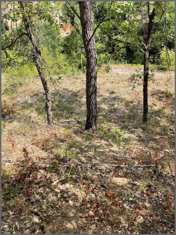 Photo 2 - Terrain à VINS-SUR-CARAMY
