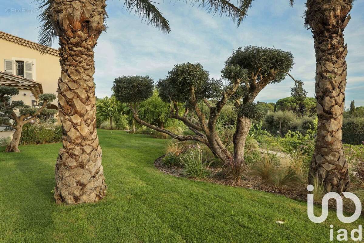 Photo 4 - Maison à SAINT-TROPEZ