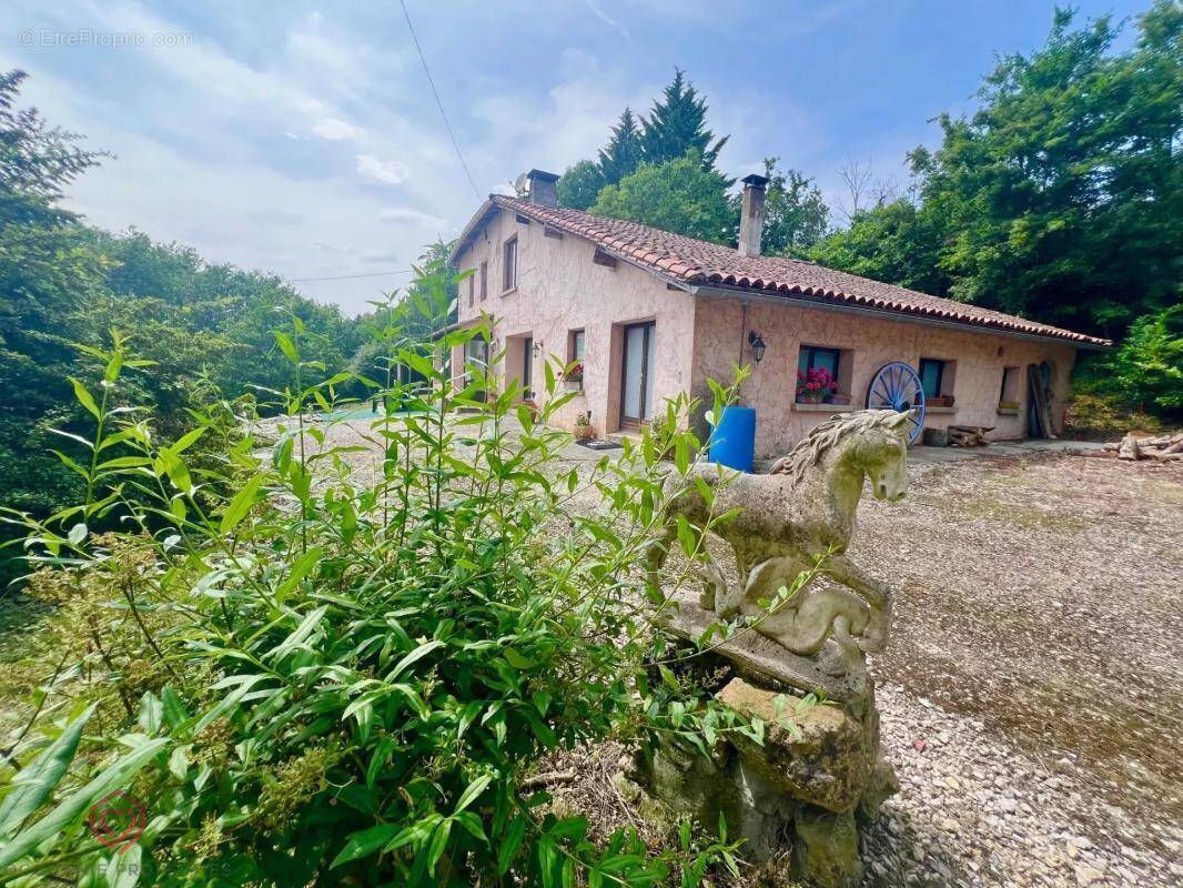 Maison à CARLA-BAYLE