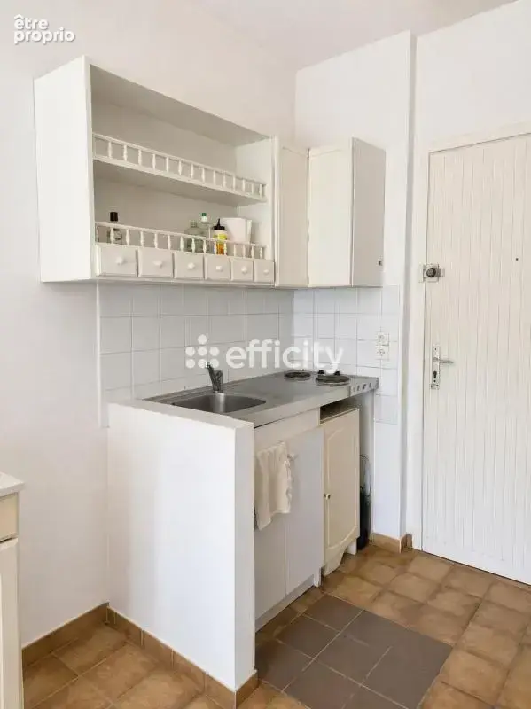 Appartement - photo 6