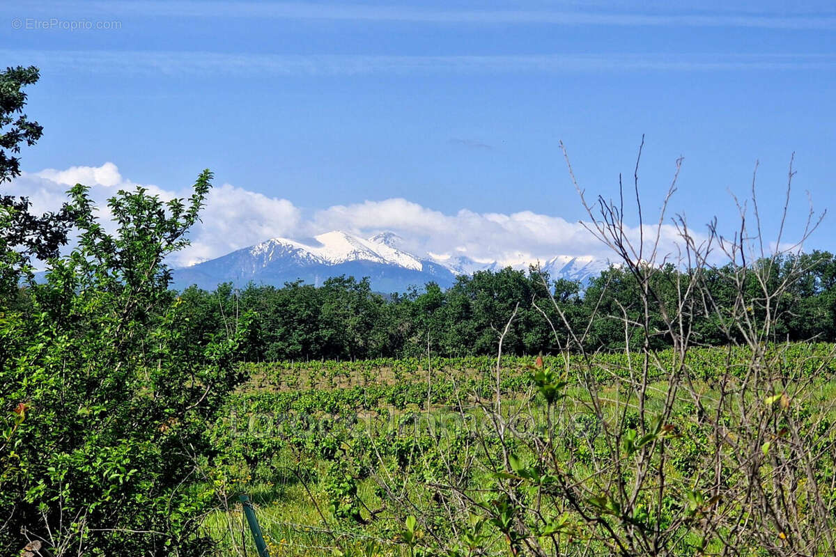 Terrain à PASSA