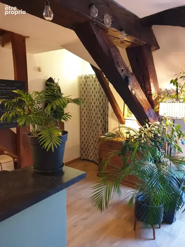 COUP DE CŒUR ASSURÉ ! Superbe Duplex de Charme au Cœur Historique d’Orléans - photo 3