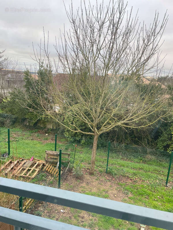 Maison T3 avec jardin privatif à vendre   BLAYE - photo 5