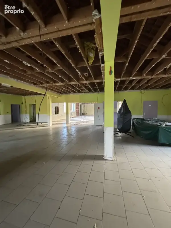 Au coeur du parc national à 9km de CHATILLON SUR SEINE ( 21)  :habitation de 450 M2 avec 1,5HA bord d'eau - photo 6
