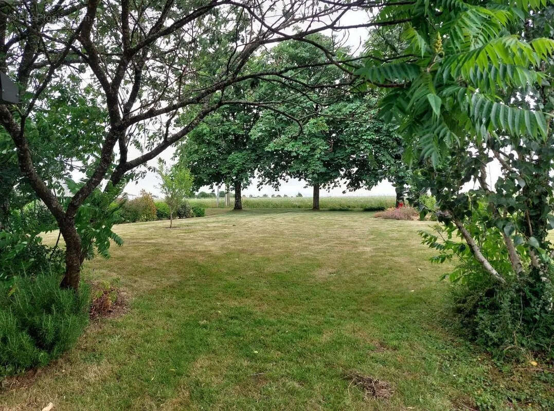 Maison à SAINT-ERBLON