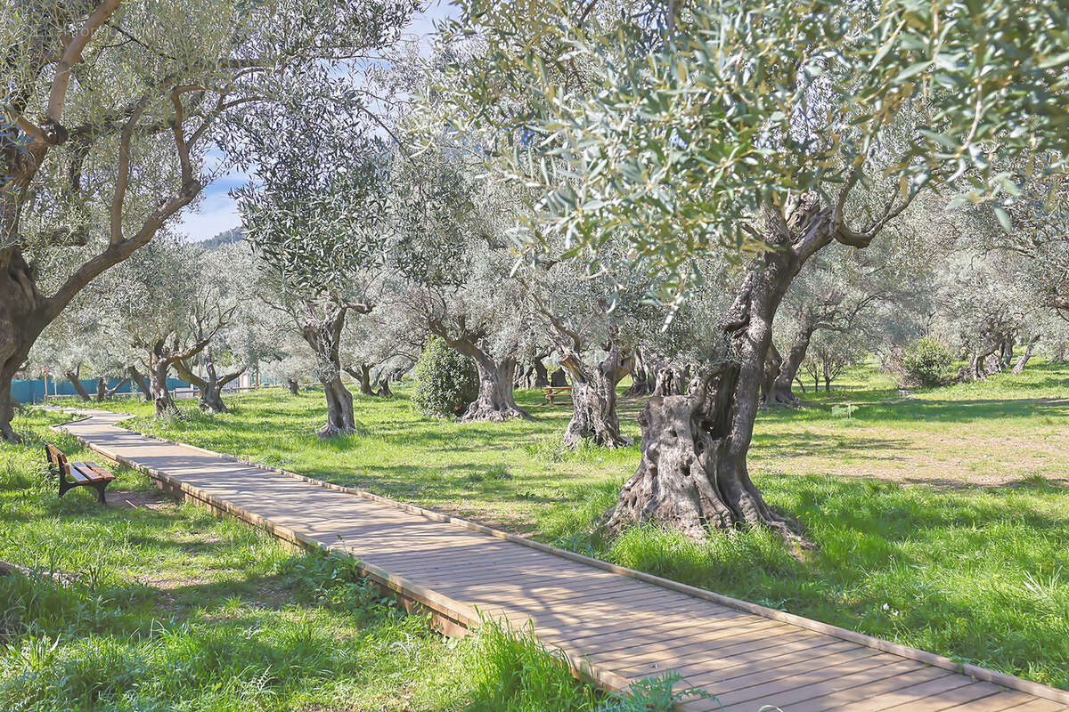 Maison à LA FARLEDE