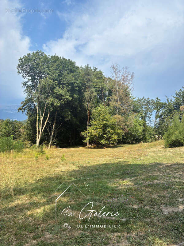 Terrain à BRIE-ET-ANGONNES