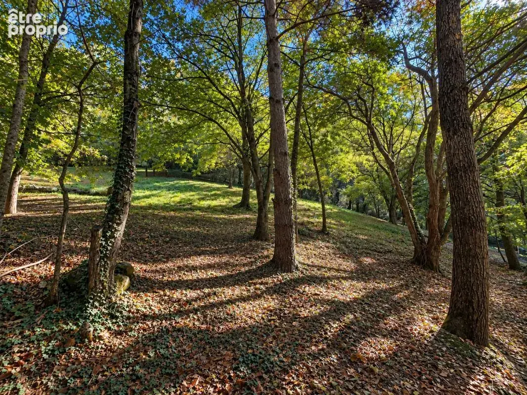 Une œuvre unique dans le Valgaudemar - photo 42
