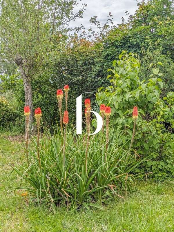 Une maison de plain pied dans un écrin de verdure ... - photo 28