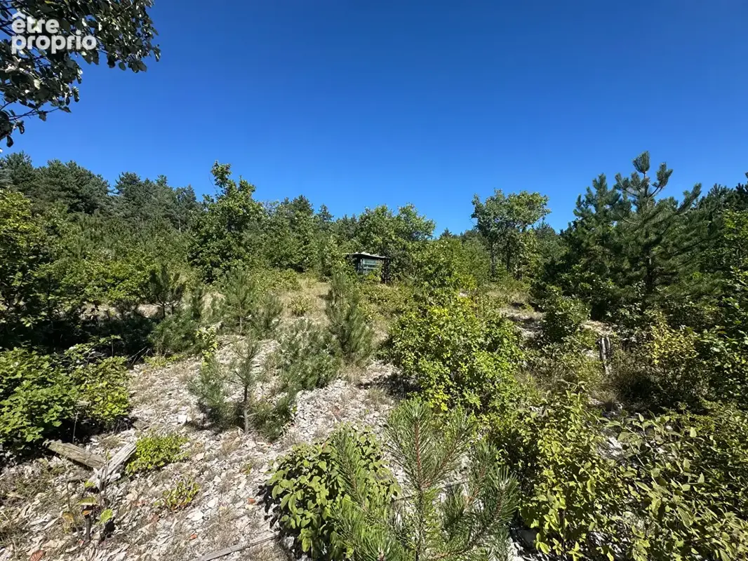 Terrain Sault 20196 m2 - photo 8