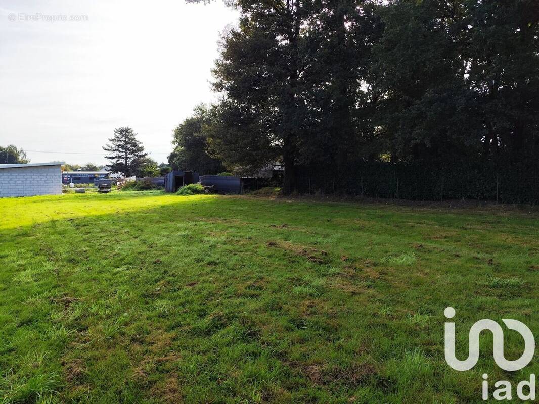 Photo 1 - Terrain à BAINS-SUR-OUST