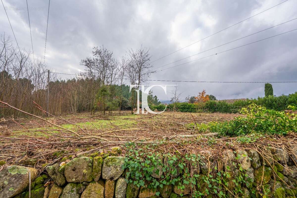 Terrain à CHAMBONAS