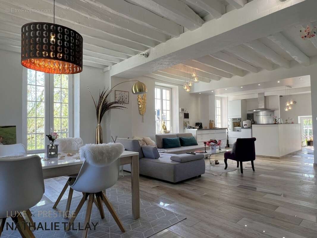 Orléans, Propriete à vendre, superbe Moulin rénové et bordé par la rivière, a l est d Orleans, parcelle de 4500 m² - photo 11