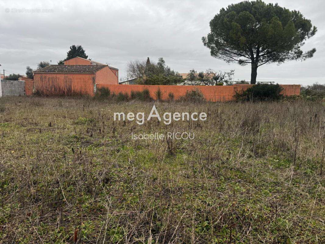 Bourgneuf (17220), terrain à bâtir de 802 m² à viabiliser - photo 4