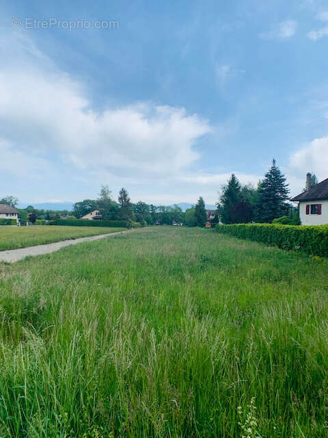 Maison à DIVONNE-LES-BAINS