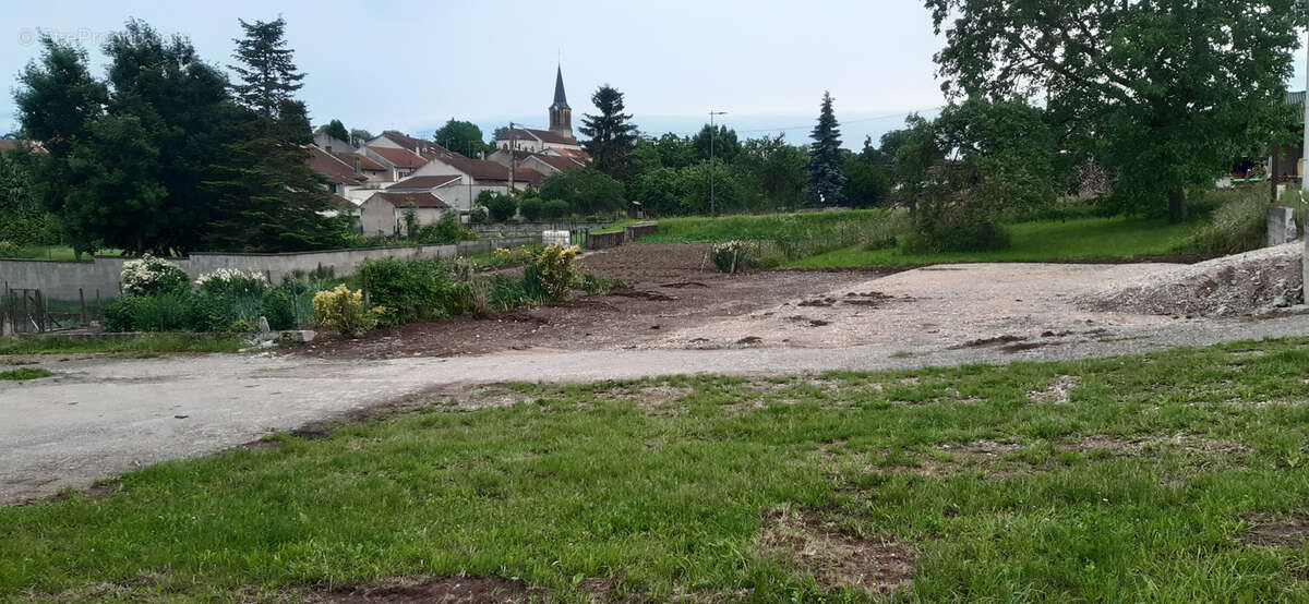 Terrain à ANTHELUPT