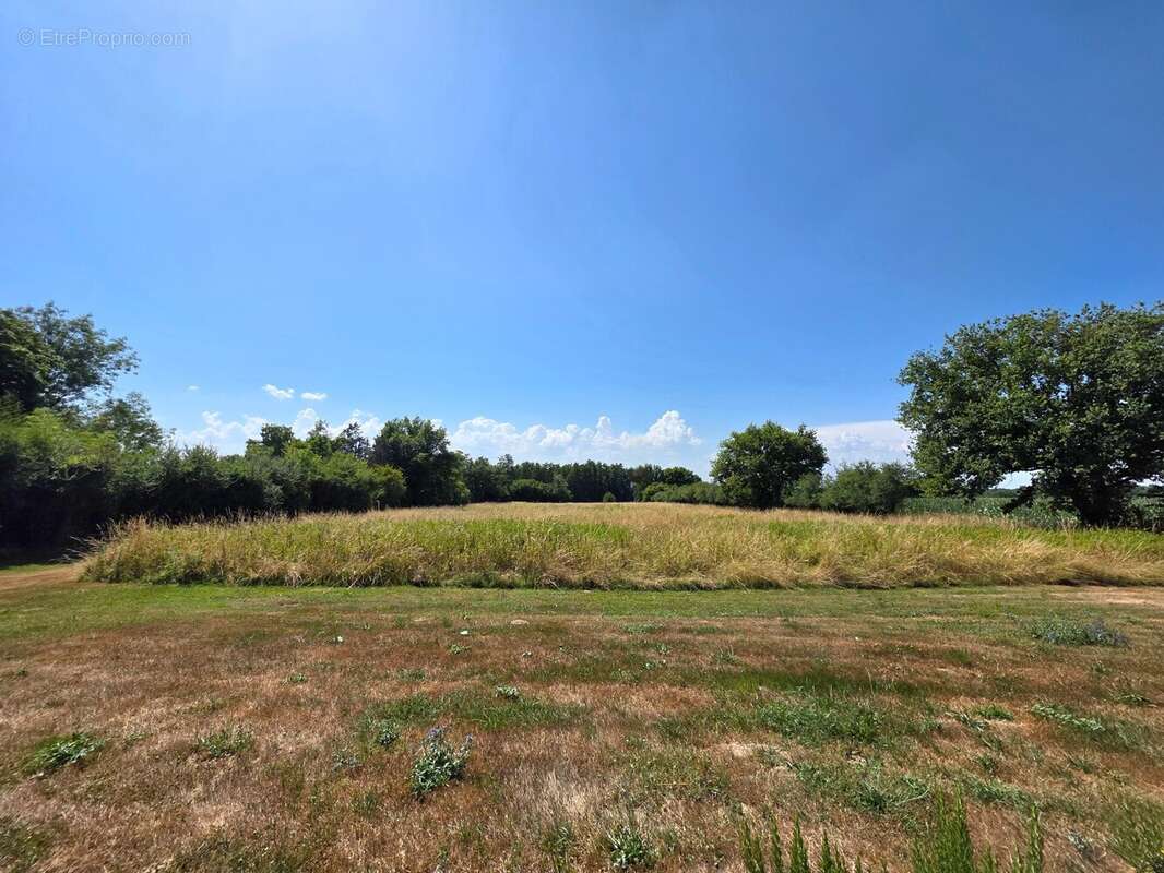 Maison à LESSARD-EN-BRESSE