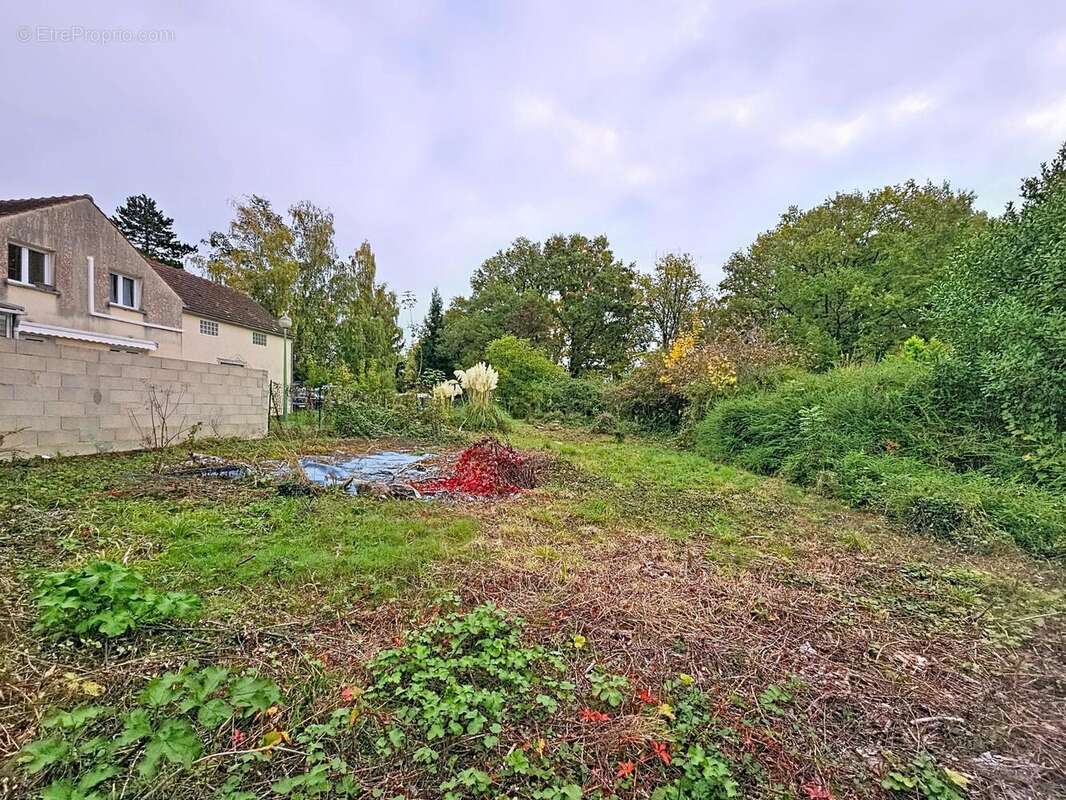 Photo 4 - Terrain à NANGIS