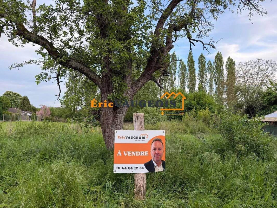 Terrain à COULOMMIERS