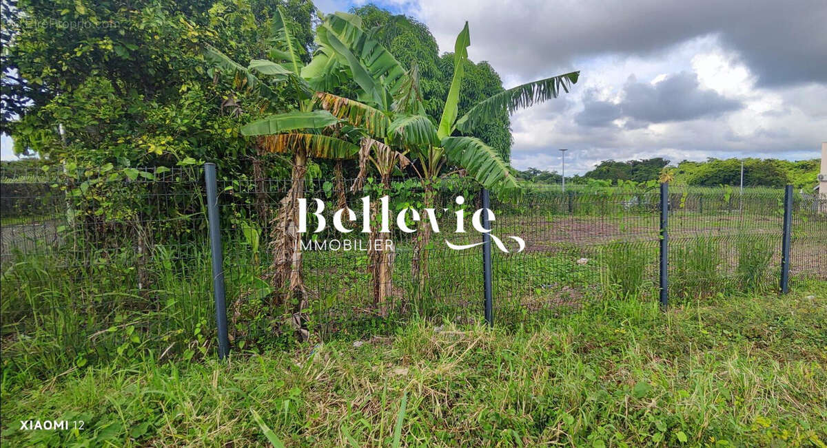 Terrain à BAIE-MAHAULT