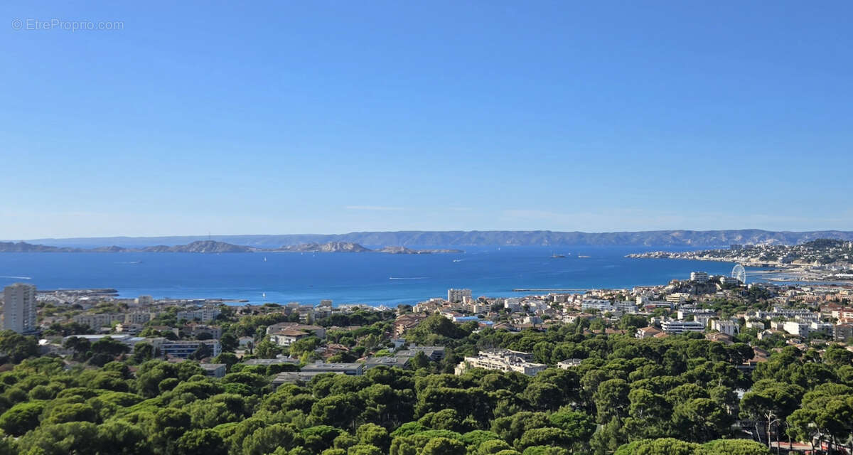 Appartement à MARSEILLE-8E