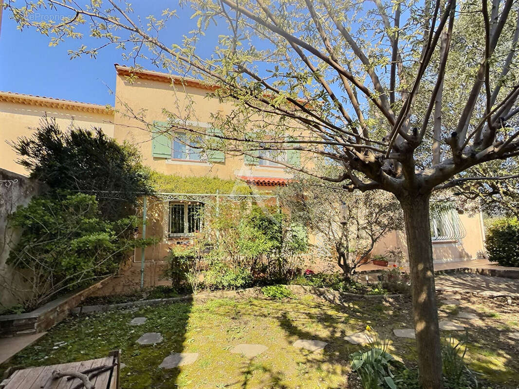 Les Camoins Marseille 13011- Maison de type 6 avec terrasse, terrain arboré avec garage, caves et dépendance - photo 16
