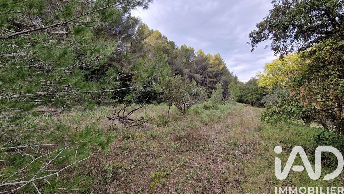 Photo 4 - Terrain à LEDENON