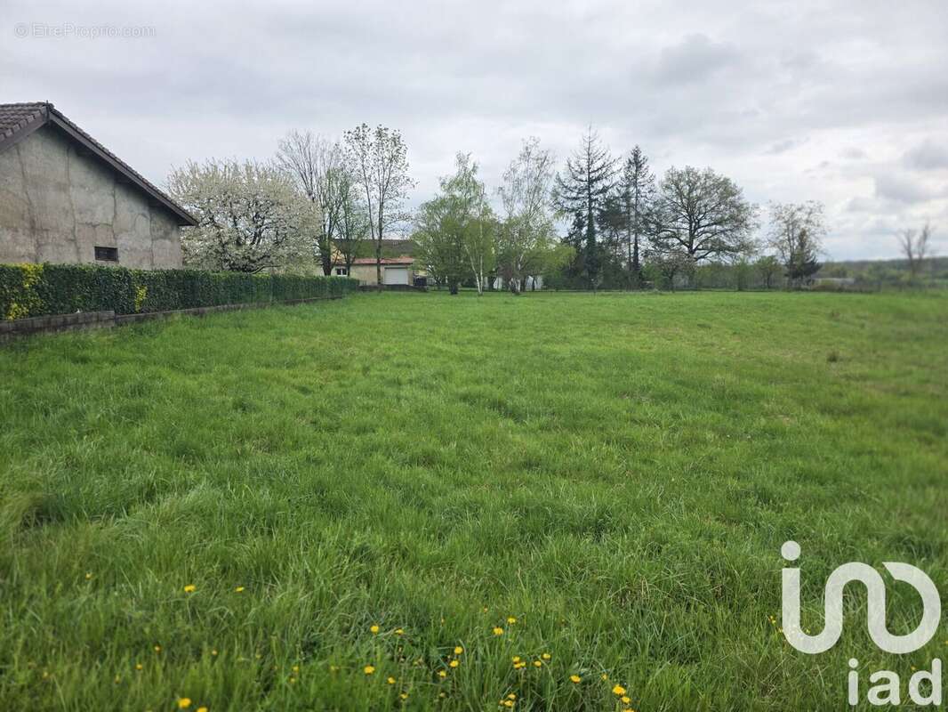 Photo 4 - Terrain à XERMAMENIL