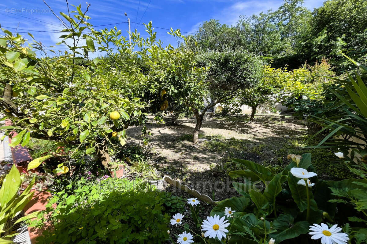 Appartement à SAINT-FELIU-D'AVALL