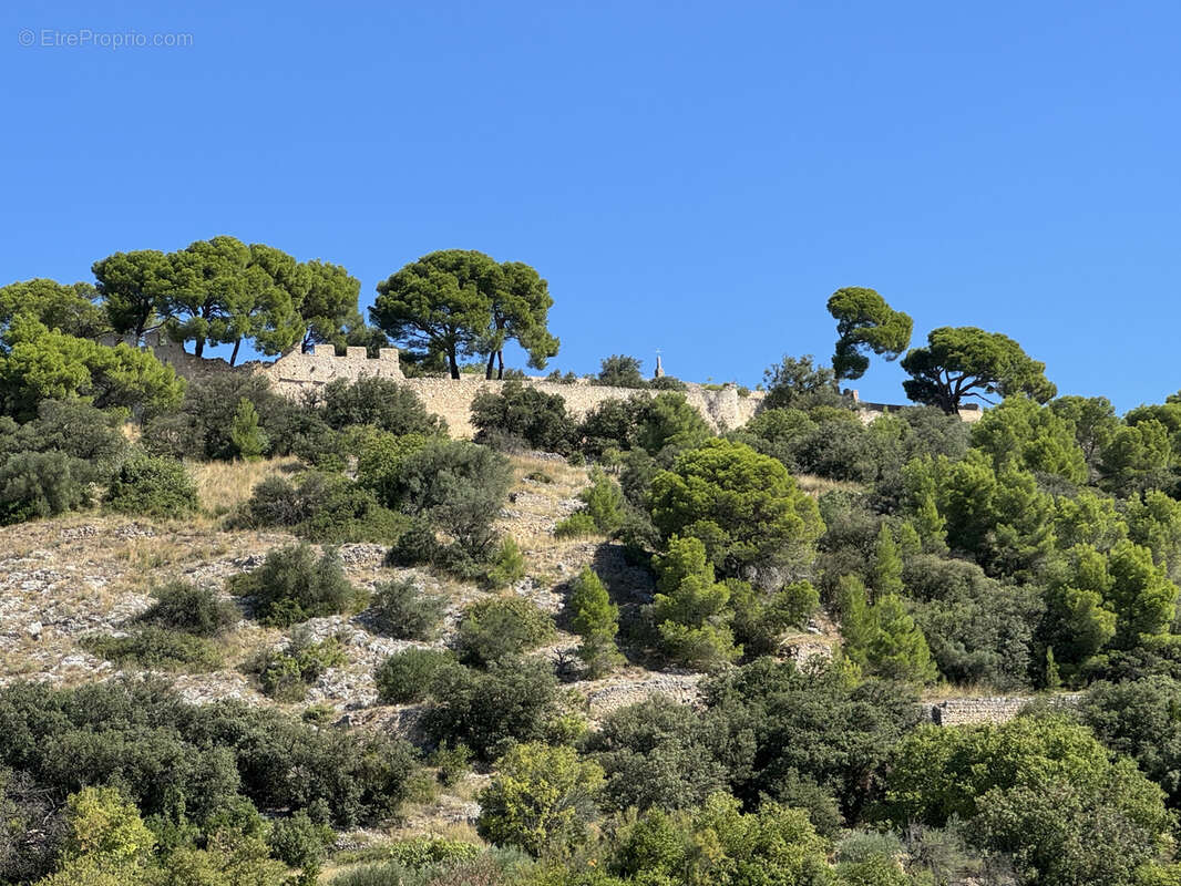 Maison à MONTPEYROUX