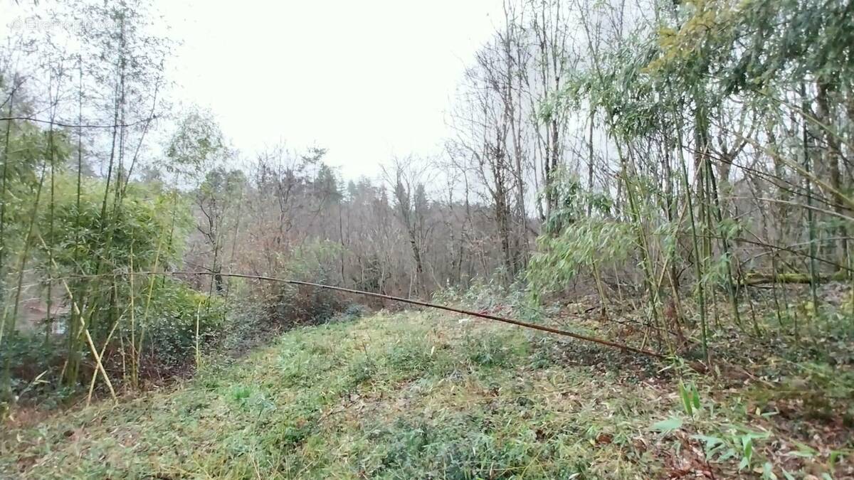 Terrain à PERIGUEUX