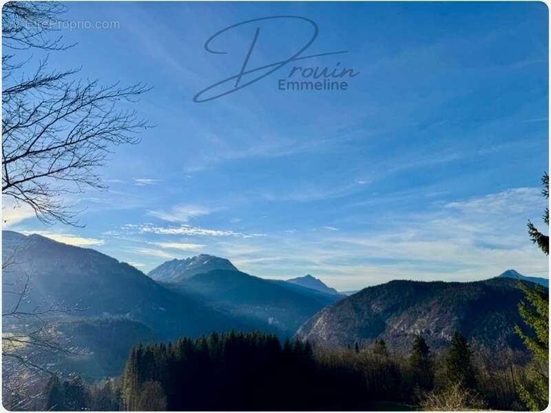 Terrain à ARACHES-LA-FRASSE