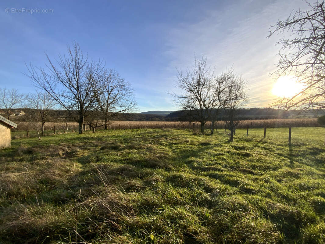 Maison à GRANGES-LE-BOURG