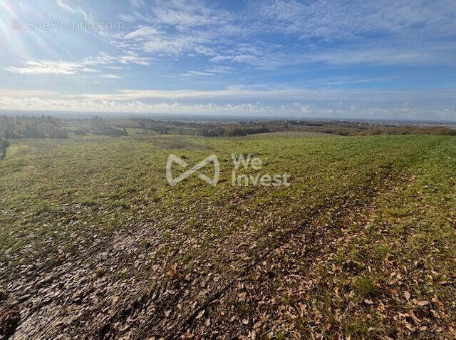 Terrain à MONTAUBAN