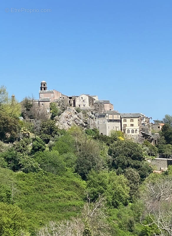 Terrain à PENTA-DI-CASINCA