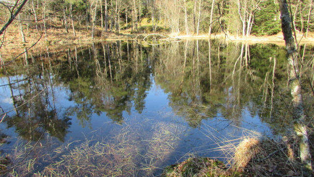 IMG_6092 - Terrain à FAUCOGNEY-ET-LA-MER