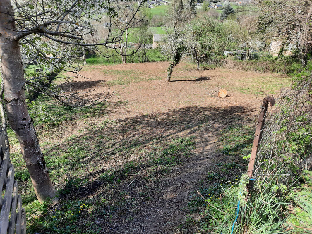 Terrain à SAINT-JEAN-DU-BRUEL