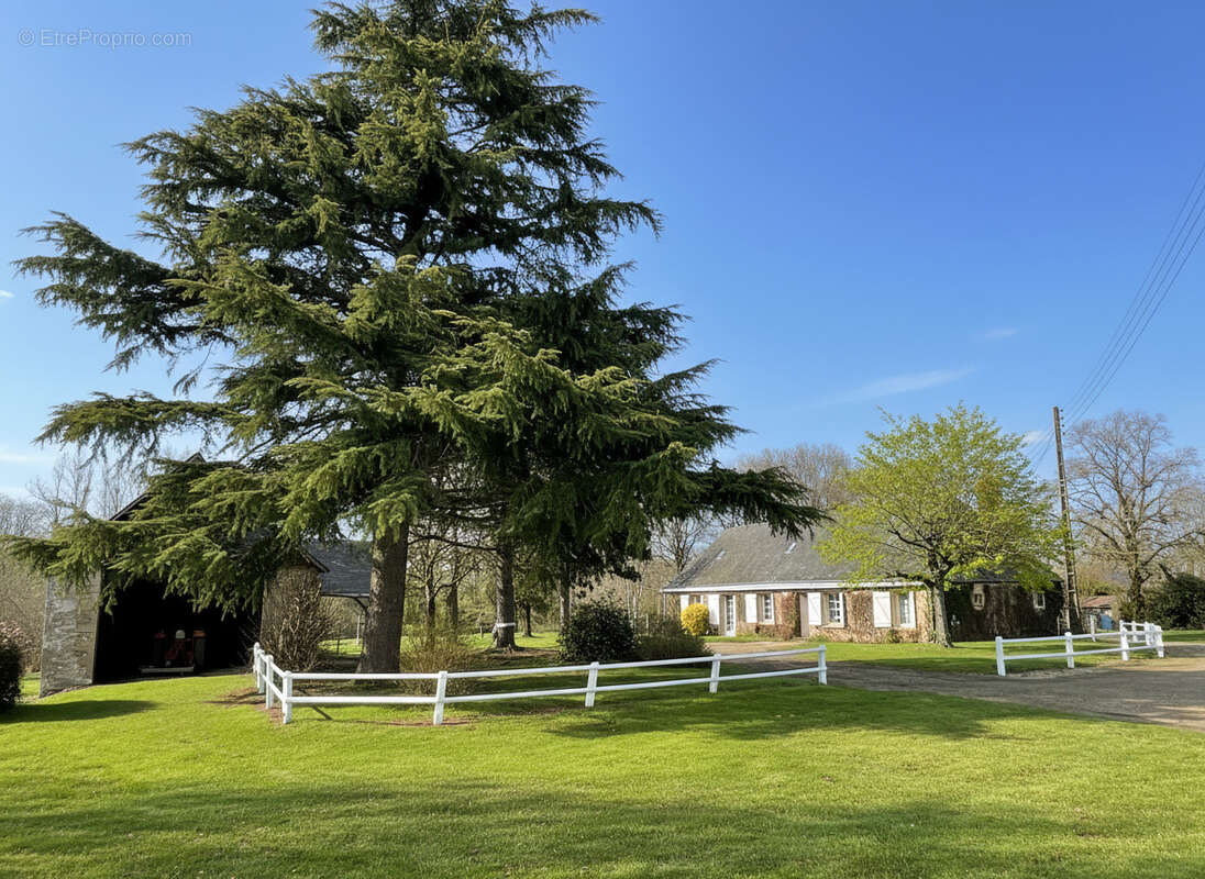 Maison à CHATEAU-GONTIER