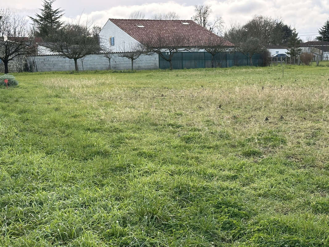 Terrain à BERCLOUX