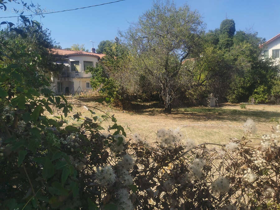 Terrain à PERTUIS