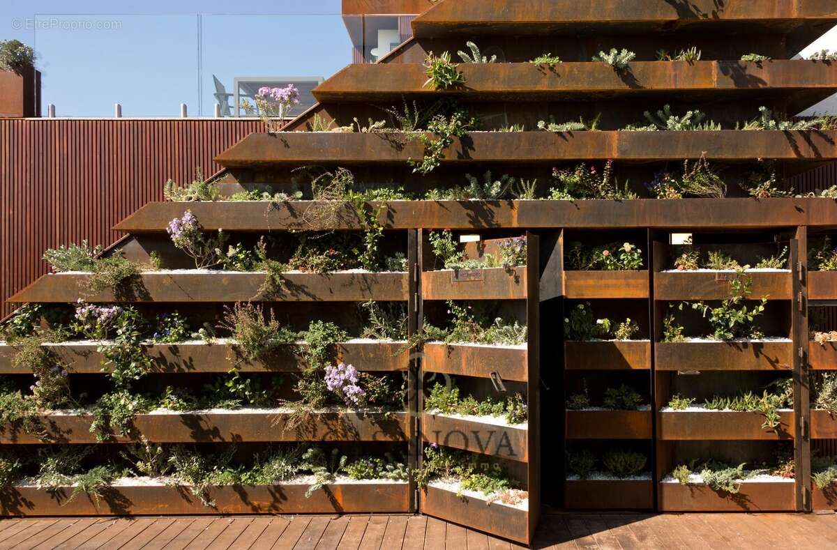 Maison à MONTPELLIER