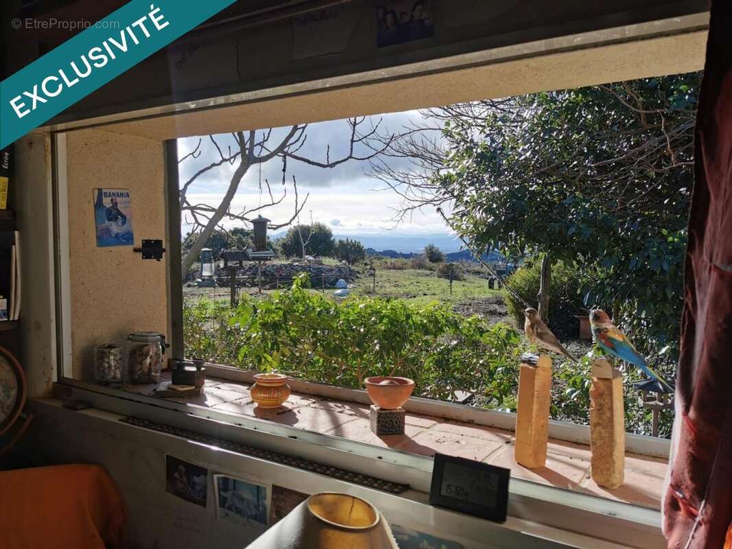 Photo 4 - Maison à FELINES-MINERVOIS