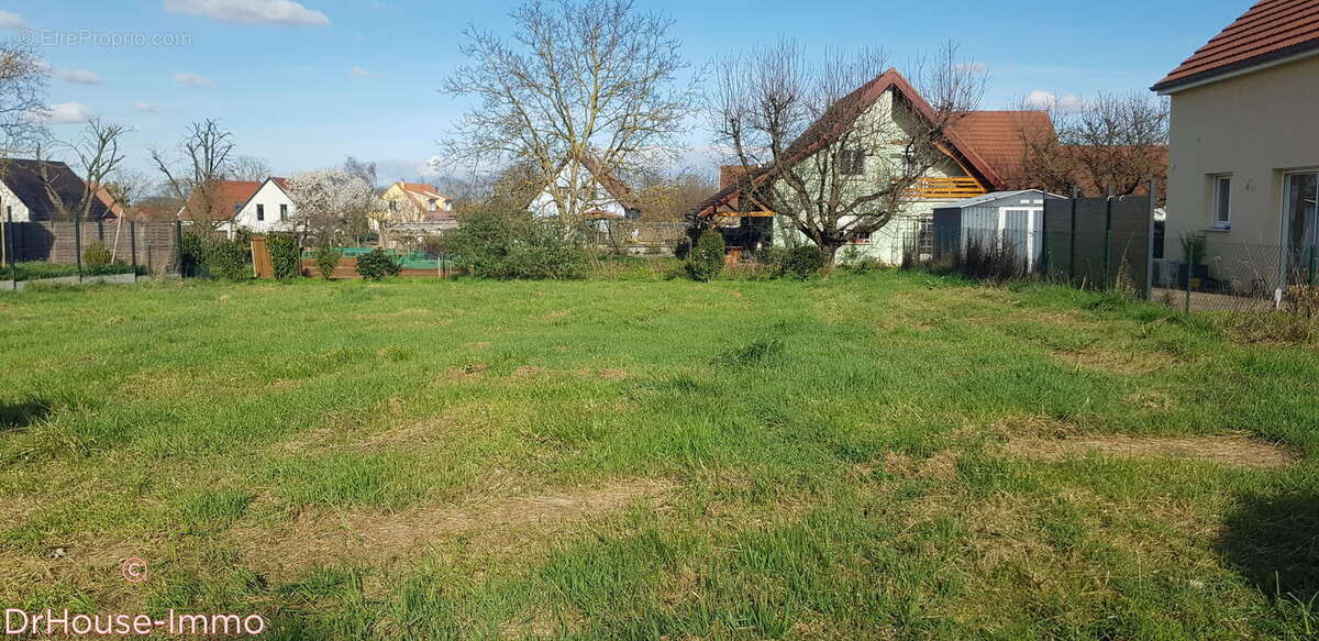 Terrain à MERXHEIM