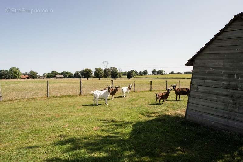 Maison à vendre 8 pièces proche de CHATILLON-SUR-CHALARONNE(01) - photo 11