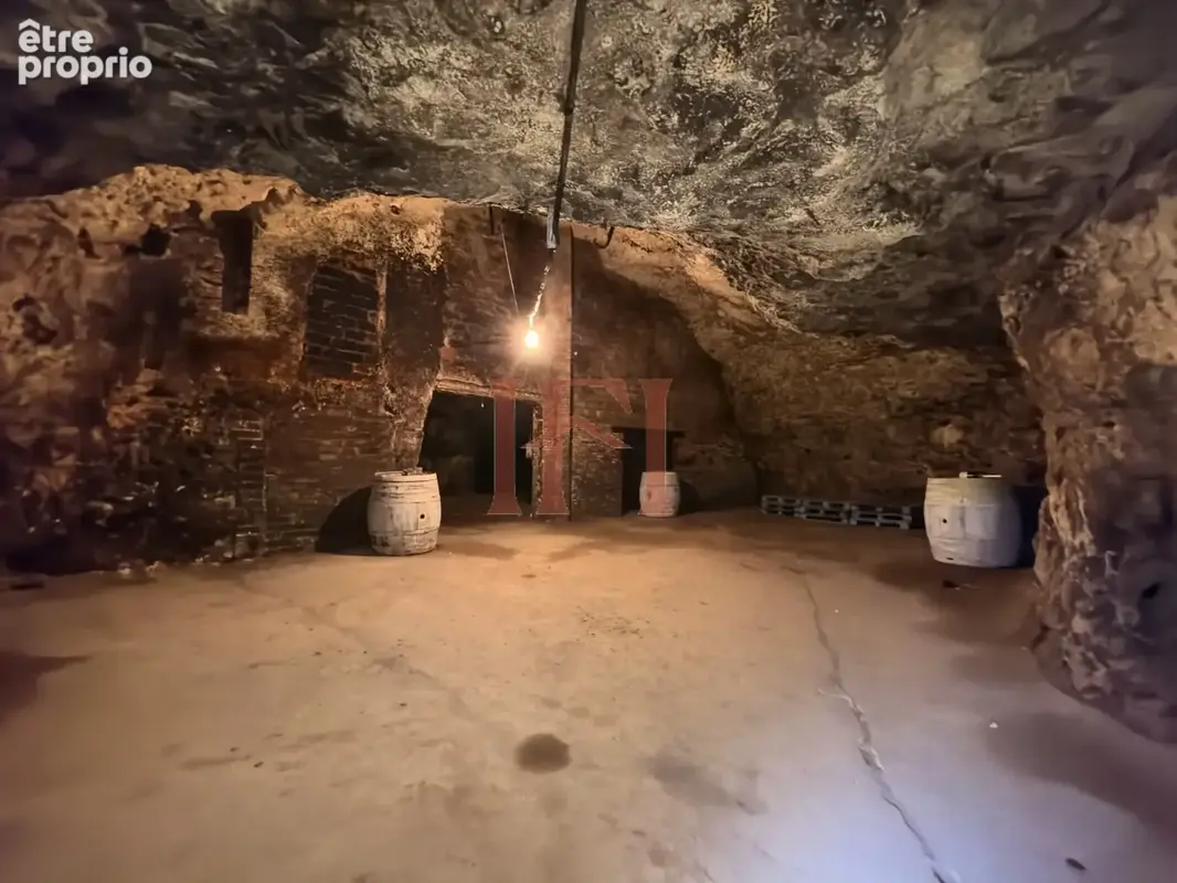 Ensemble atypique au cœur de châteaudun, avec ses anciennes grottes et une vue imprenable sur le château - photo 29
